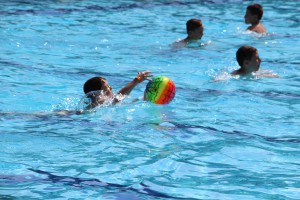 IMG 0429